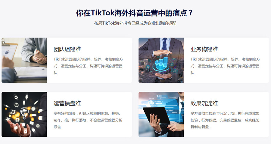 谷歌seo优化Tiktok推广  第4张